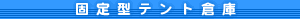 �Œ�^�e���g�q��