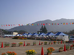 マラソン大会