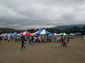 イベントテント