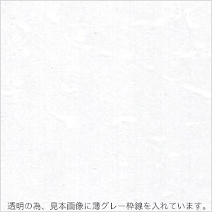 間仕切り　透明糸入り カーテン