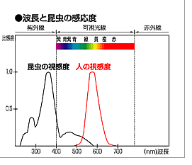 波長と昆虫の感応度