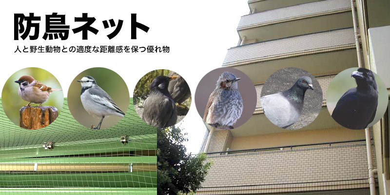 防鳥ネット　鳥ガード　バードバリヤー