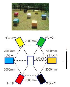 実験 虫が誘引されるカラー 屋外