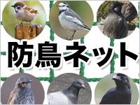 防鳥ネット